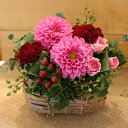 【フラアート花門】10月のアレンジ:ダリアこの時期におすすめ花 あす楽 送料無料 プレゼント フラワー ギフト フラワーギフト フラワーアレンジメント お祝い 記念日 誕生日 結婚記念日 結婚祝い 出産祝い 女性 男性