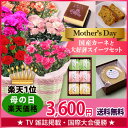 母の日ギフト ☆楽天1位☆【フラアート花門】カーネーション鉢 & スイーツ セット※赤・ピンク・複色オレンジ・アプリコット・パープルから選択送料無料 2016 プレゼント ギフト 花 カーネーション 鉢花 スイーツセット