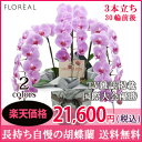 花 ギフト 誕生日【フロレアル】オーキッド 胡蝶蘭 Bタイプ3本立ち (ピンク ・ 白から選べます!)あす楽 送料無料 産地直送 お花 胡蝶蘭 開店祝い 就任祝い 移転祝い お祝い 記念日 プレゼント メッセージカード おしゃれ