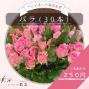 『バラ』 花 国産 高品質 まとめ売り 30本 イベント 教室 市場直送 配送地域限定 卸売 送料無料