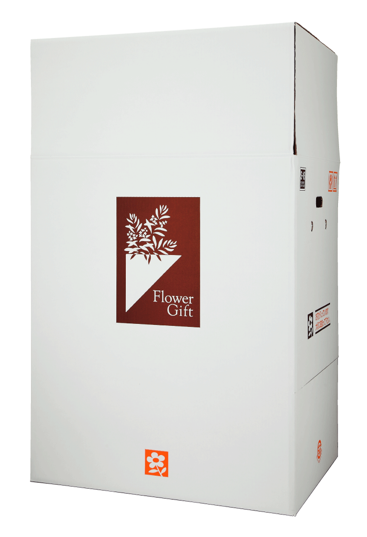 宅配ボックス　S-Box-16（大型胡蝶蘭5本立等、大型観葉植物用）　@1800円×8組送料込　サイズを2段階に調節できる箱です。
