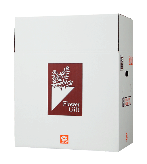 宅配ボックス　S-Box-5（中型細長アレンジメント、5〜6寸鉢物×2用）　@460円×20組
