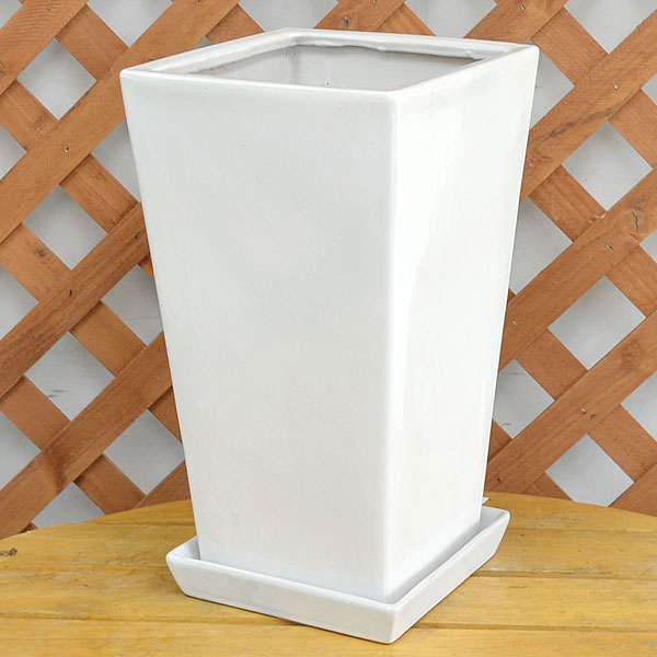 スクエア陶器鉢L ホワイト 7号サイズ...:flower-corp:10000456