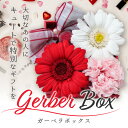 【送料無料】 母の日 プリザーブドフラワー 【ガーベラボック...