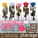 カクテルローズプリザ プリザードフラワー プリザーブドフラワー ギフト プリザーブド 薔薇 バラ 贈り物 あす楽対応 花びら印刷 花びら メッセージ 誕生日 プロポーズ 告白 記念日 プレゼント 名入れ ホワイトデー 還暦 送別 ガラス SALE セール 【RCP】