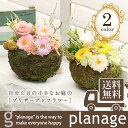 【送料無料】MY GARDEN マイガーデン プリザーブドフ...