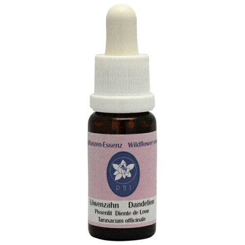 https://thumbnail.image.rakuten.co.jp/@0_mall/flower-remedy/cabinet/04251380/06527961/06738326/nwcp449.jpg?_ex=500x500