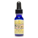スピナッチ(ホウレンソウ)(シンプルさ)《スピリットインネイチャーエッセンス》15ml【メール便対象】【フラワーエッセンス/マスターズフラワーエッセンス/果物/野菜/フルーツ/スピリットインネイチャーエッセンス】