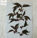 【S-742】押し花 桜の葉7枚ナチュラル素材 花材 押し花...