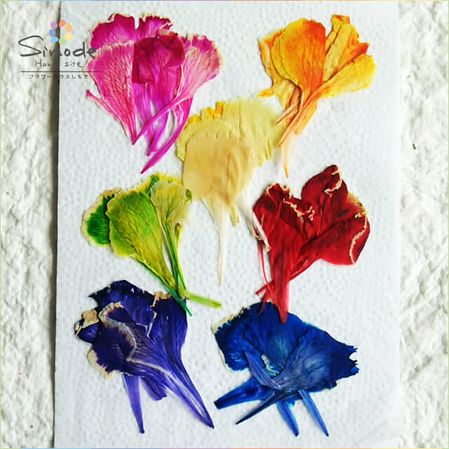 yS-629zԁ@FJ[l[V7Fe5Ԋz⃌WANZT[ȂǃnhChfނƂĐlCł˂Ŏ肵Ă܂BYïSiłI