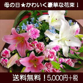 ؁IJTuJƃJ[l[V̑傫ȉԑ ̓Mtg\񏳂蒆