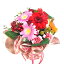 12月の花束