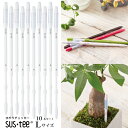 (資材)【10本まとめて10%OFF】【送料無料】『 植物用水分計 サスティー Lサイズ・本体10本セットホワイト 』水やりのタイミングが分かる植物用水分計 7号鉢~以上にはLサイズをおすすめします♪水分計 sustee ガーデニング 観葉植物 植物用 FKKS 京都資材