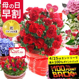 ＼早割 x ポイント3倍！／ 母の日 プレゼント カーネーション ギフト 花 鉢植え 2024 選べる 花鉢植え カーネーション 5号 5号鉢 <strong>ケイト</strong>ウ アンスリウム ジャスミン おしゃれ 母の日ギフト プレゼント ははの日 50代 60代 70代 80代 義母【2024母の日】FKHH