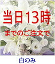 お悔やみ・お供え・法事・仏事・命日にきょう花特急便5250円急ぎ対応即日配達/当日配達/お彼岸/お盆お供え・午後13時までの受付で即日配達/当日配達可能。お供え花/お悔やみ/枕花/アレンジ/花束/花/即日/当日/法事/法要/ペット/イーフローラ