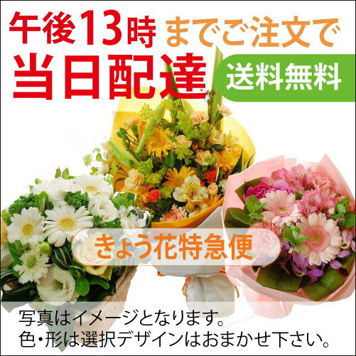 きょう花特急便お祝い用【花キューピット又はイーフローラでお届け】誕生日/結婚祝い/出産/御祝/お見舞いペット/還暦祝い/フラワーギフト送料無料/歓迎 退職/smtb-s/アレンジ/当日配達/即日配達/ビジネス/開店 オープン/ メッセージカード付き