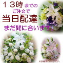 花 お悔やみ・お供え・葬儀・法事・枕花/命日/ペットのお供え...