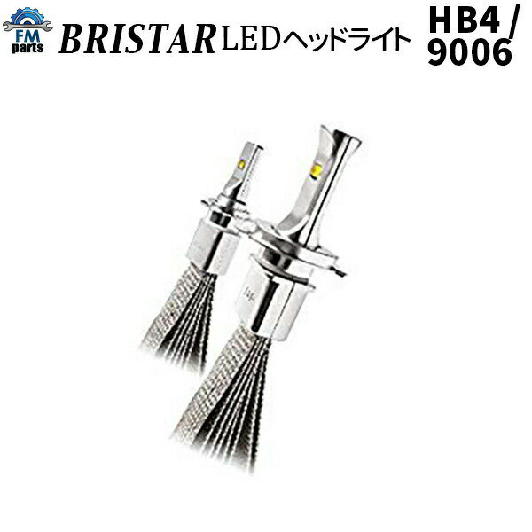 【送料無料】HB4 / 9006 LED ヘッドライト フォグランプ HB4 9006 左右4000LM（片側2000LM） 左右2個セット【BRISTAR】