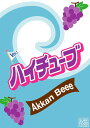 サーフィン dvd ハイチューブ Vol.3 HIGH TUBE 最終回 Akkan Beee あっかんべぇー ジョンジョン SURF