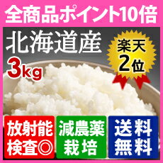 新米 24年度 北海道産 放射能不検出の安全なお米 やっと安心できる食卓の安全を守るための検査子供や妊婦の家庭限定販売【送料無料】【新米】安全なお米が放射能から子どもを守る！放射能検査済の安全なお米ホワイトライス 3kg 玄米・白米・無洗米の選択可 送料無料(沖縄と離島を除く)自主検査：外部検査機関測定済【放射能検査済み→検出なし】