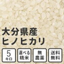 【29年産】白米 玄米 無洗米 5kg 送料無料 大分県産 ...