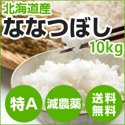 北海道の特Aランク米ななつぼし10kg 無洗米・玄米・白米から精米方法選択送料無料（沖縄と離島を除く）北海道の特Aランク米ななつぼし24年度
