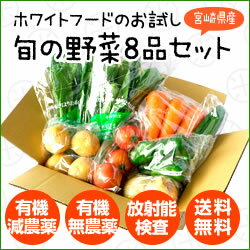 【送料無料】【初回購入者限定】宮崎県産 お試し旬の野菜8品セット【放射能検査済】【産直商品につき同梱...:food-connect:10000575