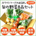 【初回購入者限定】宮崎県産 お試し旬の野菜8品セット【放射能検査済】【産直商品につき同梱不可】【日曜・月曜発送不可】