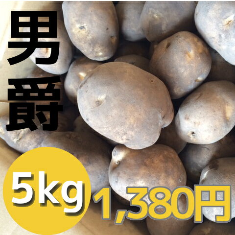 【2016年産】北海道産じゃがいも男爵（5kg）...:food-link:10000317