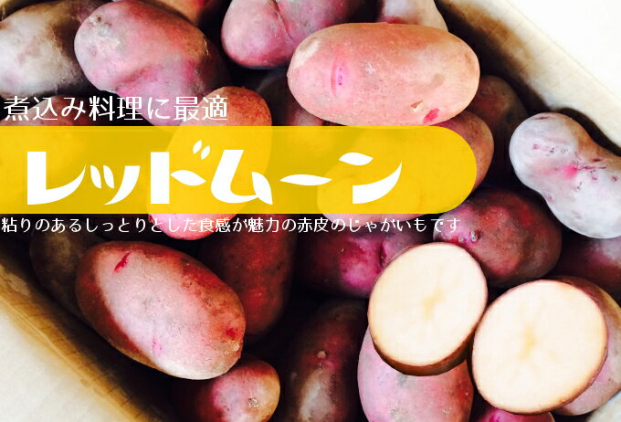 【訳あり送料込み】北海道産じゃがいもレッドム−ン（2kg）お試し1回限り（同梱除く）【ポッキリ0630】