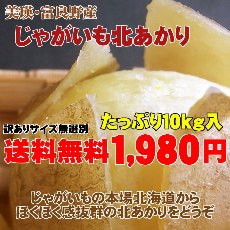 【送料無料】【訳あり】北海道じゃがいも北あかり（10kg）※新じゃが/越冬じゃが食べ比べ！