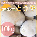【送料無料】2016年北海道産じゃがいも訳ありとう