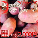 【送料無料】訳あり北海道産じゃがいもレッドムーン(5kg)