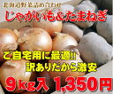 【訳あり】北海道産野菜2品セット（じゃがいも5kg・たまねぎ4kg）