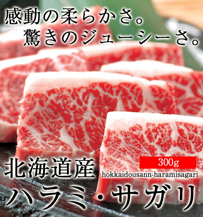【ハラミ・サガリ】北海道産厳選国産牛ハラミ・サガリ300g...:foodshonpo:10000029