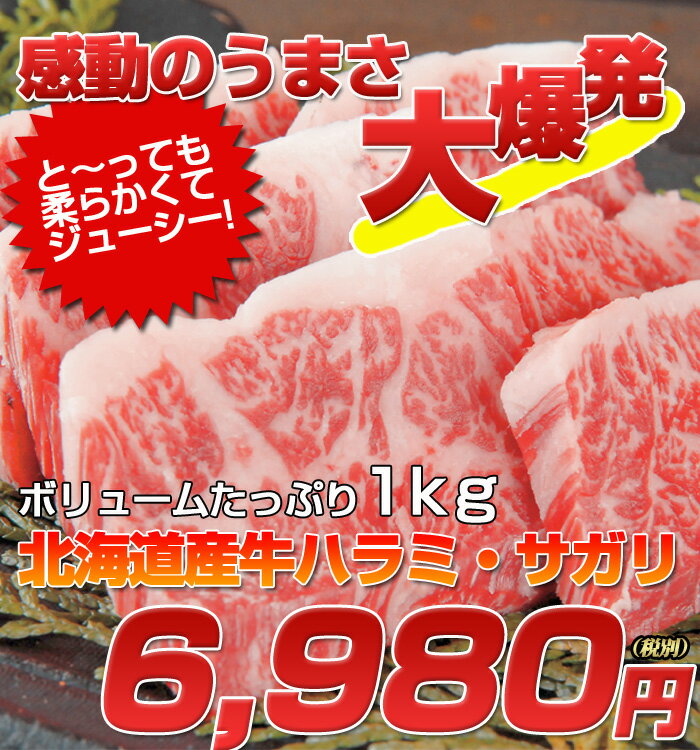 【ハラミ・サガリ】北海道産限定厳選国産牛ハラミ・サガリ 1kg焼肉福袋！【はらみ・さがり】