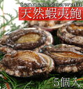 新鮮！天然物!!！活蝦夷あわび　5個