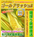 【送料無料】【同梱不可】生で食べれるとうもろこし!