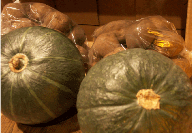 ̤ι£ʪ㤬̤ȥإ󤫤ܤεͤ碌