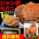 ジャンボ毛ガニ1尾(約800g〜1kg前後)【送料無料】【北...