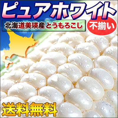 【送料無料】【不揃い】【産地直送】北海道産幻の白いとうもろこし「ピュアホワイト」10〜12本入り（冷蔵)