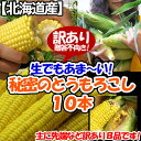 爆安につきお一人様2個まで！！北海道美瑛産！本当に甘すぎる　あま〜ぃ甘い　訳ありとうもろこし10本(mi)（冷蔵)★数量限定★とうもろこし最強伝説！