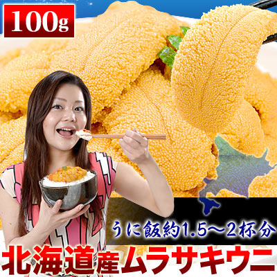 【北海道産】塩水パック入生ムラサキウニ約100g前後(うに飯約1.5〜2杯分)(発送:6月上旬前後頃から順次)(冷蔵)(賞味期限が非常に短く受取注意)[雲丹]