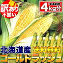 訳あり登場！北海道産黄金のとうもろこし「ゴールドラッシュ」10本入り（冷蔵)幻の激甘野菜を訳あり特価で！