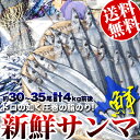 【送料無料】【北海道産】トロの如く圧巻の脂のり！生送り新鮮サンマ4kgで約30〜35尾前後(1尾あたり約110〜130g前後)(中サイズ)(発送:水揚げ次第9月... ランキングお取り寄せ