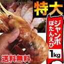 【送料無料】【船上急速冷凍】ジャンボサイズ!特大ボタンエビ約...