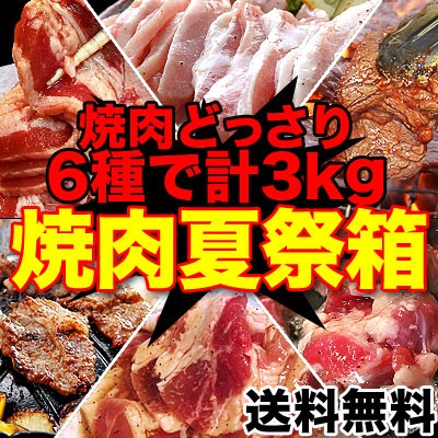 【送料無料】食べるぞ焼肉夏祭りセット合計3kg大ボリューム 色々な焼肉を一度に楽しめる 製造者だから...:foodsland:10004056