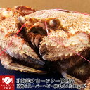 ★100%北海道オホーツク産★安価ロシア産とは違う★【送料無...
