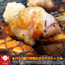 【楽天スーパーSALE】【2個以上から注文数に応じオマケ付き...
