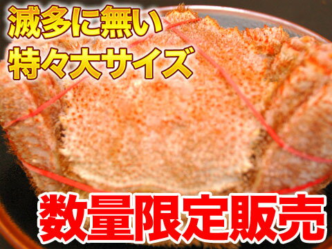 ¿̵祵ͺӳ̸ꡪǹ̳ƻͺӳ60...